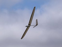 Cox &amp; Co 2022